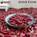 China Manufacturer Wholesale dark red kidney bean price